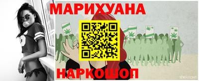 индика Лесосибирск