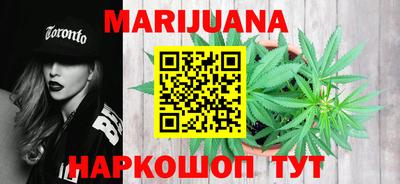 индика Лесосибирск