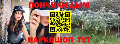 индика Лесосибирск