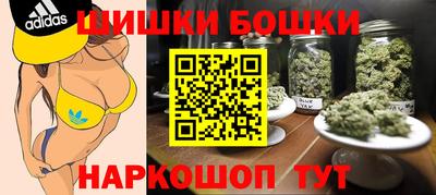 индика Лесосибирск