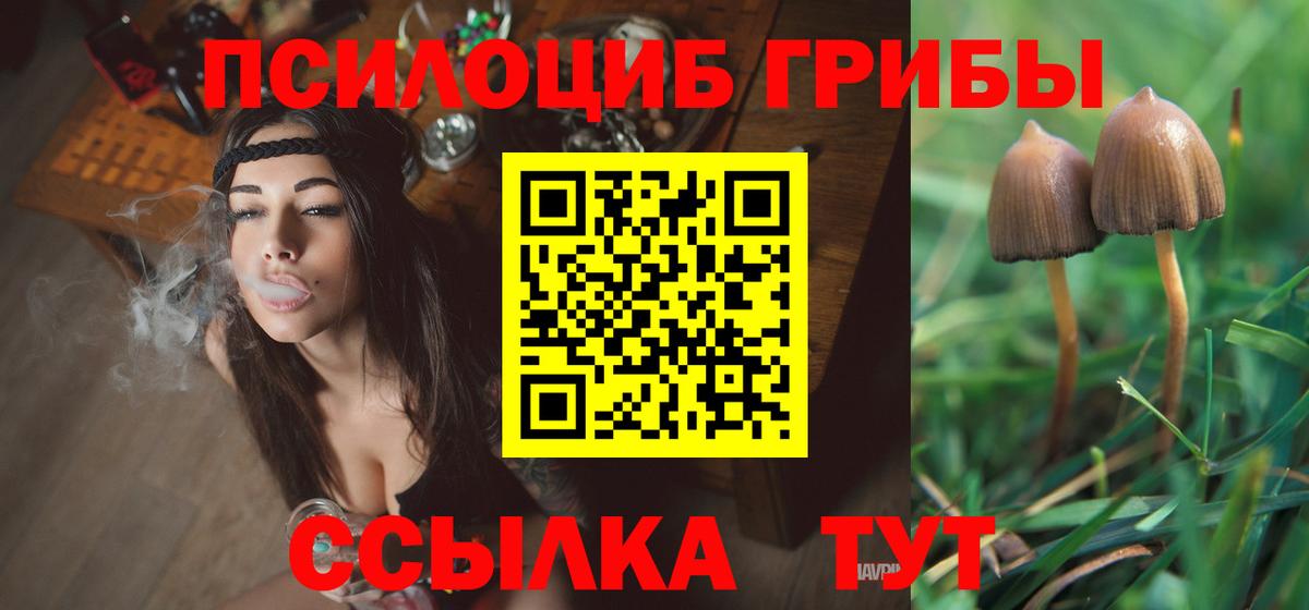 Дедовск  Псилоцибиновые грибы GOLDEN TEACHER  Вход с VPN 